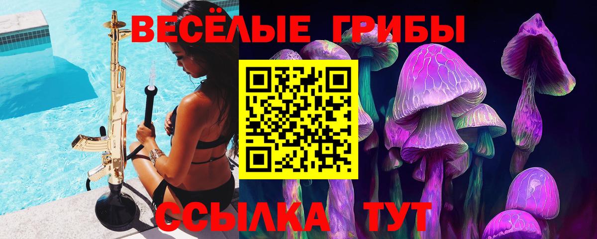 Галлюциногенные грибы Psilocybe  Вход с VPN  купить наркотики сайты  Чернушка 