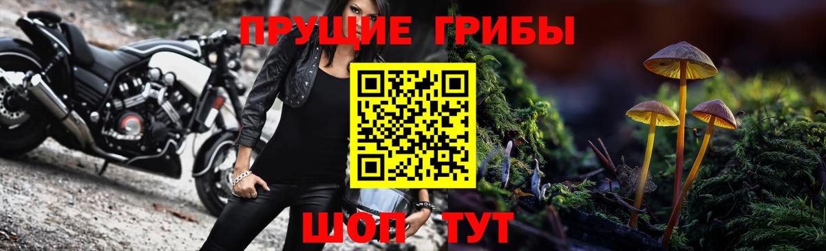 Галлюциногенные грибы Magic Shrooms Чернушка